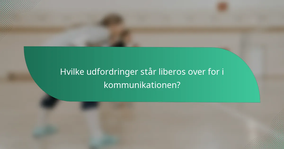 Hvilke udfordringer står liberos over for i kommunikationen?